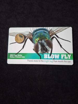 2014 Australian $1  Colour Printed Coin ‘Blow Fly”