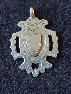 Unengraved Sterling Silver Medallion