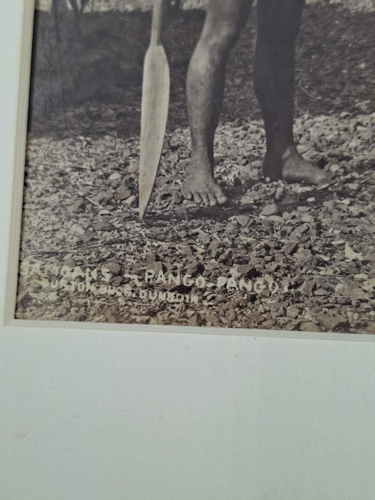 2 Burton Brothers Photographs, Chief Te Rangituataka (Great Mokau Chief) & Samoans - Image 6