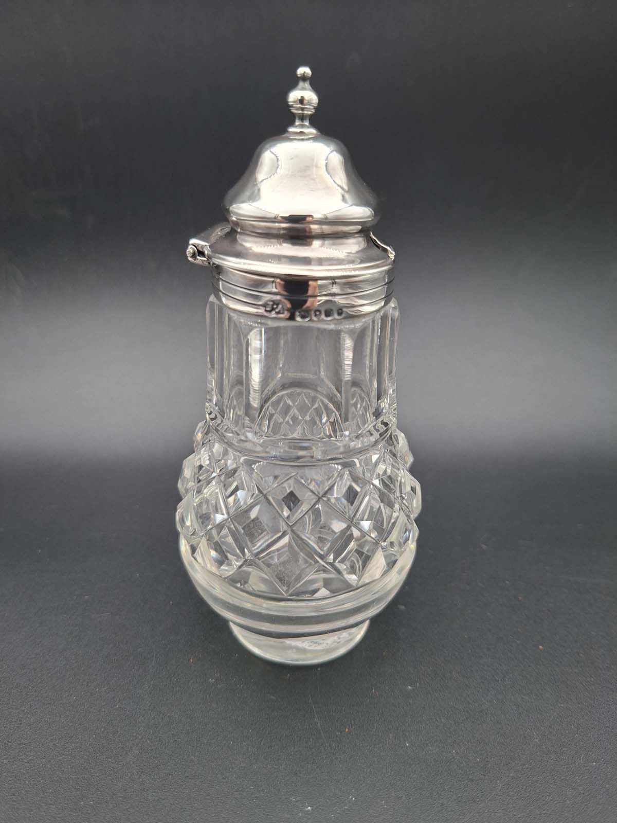 Sterling Silver Topped Condiment Pot London 1855