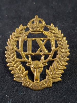 9th Wellington East Coast Rifles Cap Badge